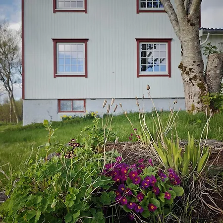 2 And A Barn * Leknes